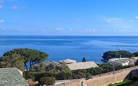 Superb Apartment With Sea View, 200M From Beach